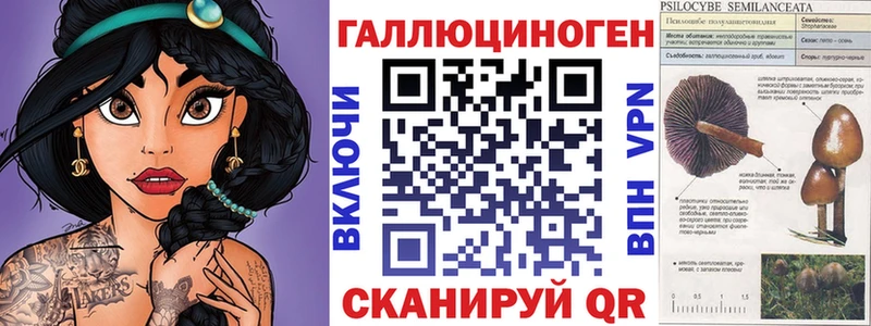 где купить наркоту  Скопин  Галлюциногенные грибы Cubensis 